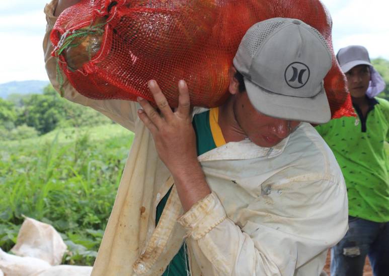 Duty Free del 11 de noviembre de 2025