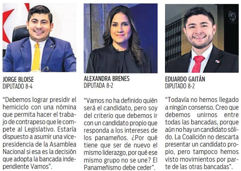 $!Tres facciones en Vamos, por la presidencia de la AN
