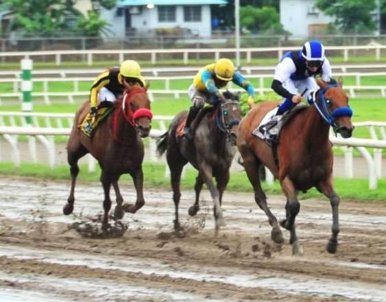 Omar Batista | La Triple Coronada “Jaque Doble” (d), en la pista.