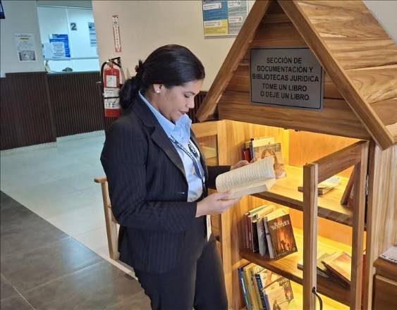 ML | Casita de Libros del Órgano Judicial.