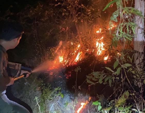 Controlan fuego en Cerro Guacamaya sin mayores afectaciones