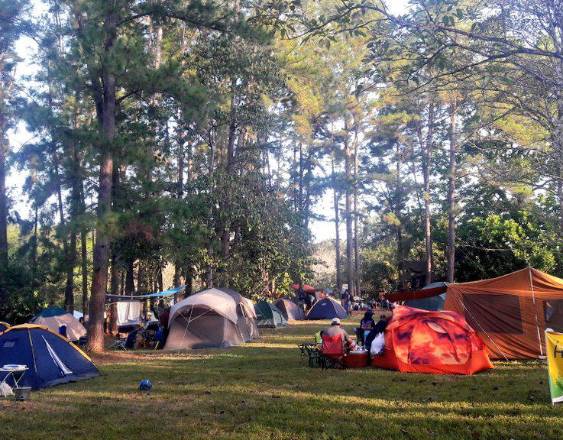 El Jardín Botánico Summit abre sus puertas para acampar
