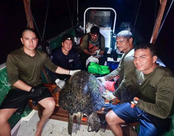 Cortesía | Equipo de investigadores junto a un ejemplar de tortuga.