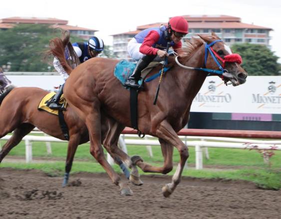 Omar Batista | Wonder Lady se acerca a la meta para ganar el Clásico Felipe Motta.