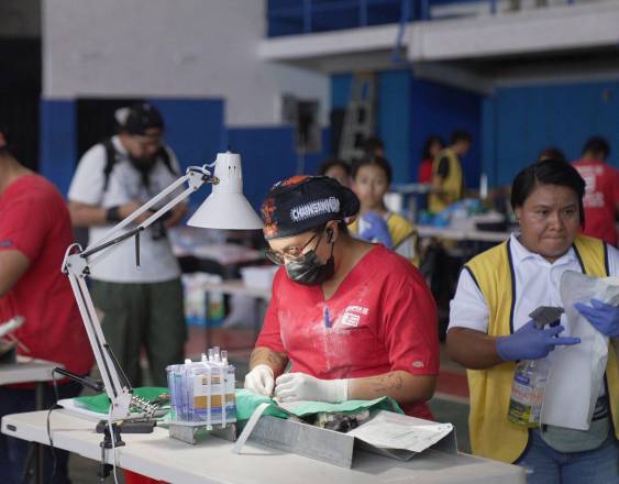 Jornada de esterilización de mascotas supera las 17 mil atenciones