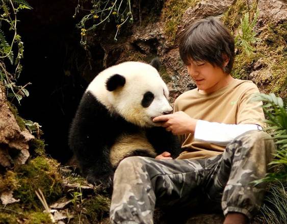 Moon: mi amigo el panda | Es la nueva película de Gilles de Maistre, que sigue la travesía de una niña que entabla un lazo mágico e inesperado con un encantador panda en peligro y juntos emprenden un viaje.
