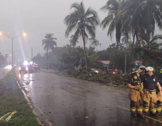 Fuertes lluvias provocan caída de árboles en la frontera y obligan al despeje de vías en Barú.