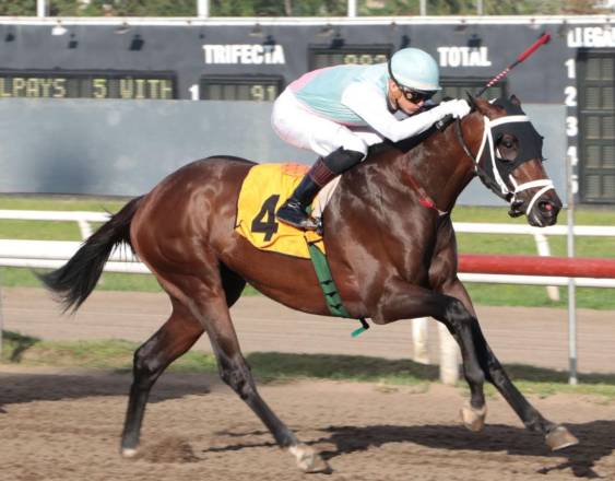 Cortesía | El ejemplar Sol Auyan Tepuy.