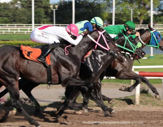 Cortesía | Foto ilustrativa de carrera de caballos.