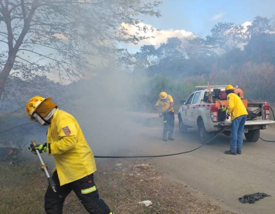 ML | Incendio de masa vegetal.