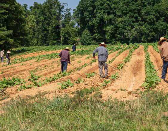 Obras, agro y turismo, claves para generar empleo en Veraguas