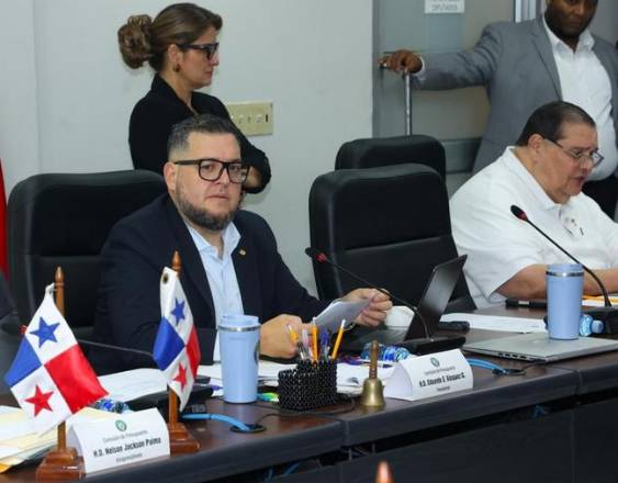 ML | Comisión de Presupuesto de la Asamblea Nacional.
