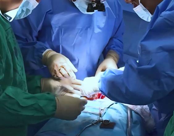 ML | Histórico trasplante.