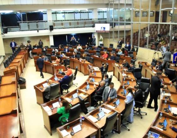 ML | Diputados en el pleno de la Asamblea.