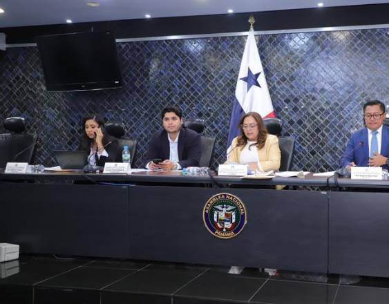 ML | Diputados en la Comisión de Credenciales.