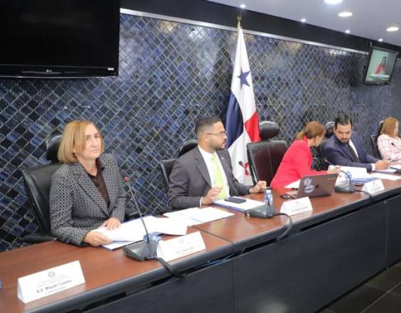 ML | Comisión en reunión en la Asamblea.