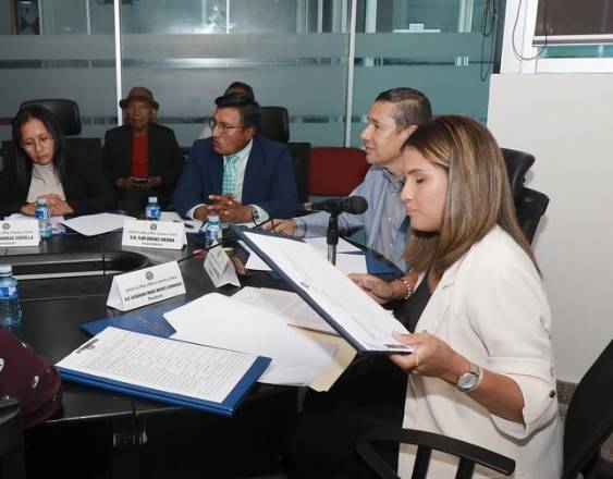 ML | La mesa técnica que analiza el proyecto de ley 618.