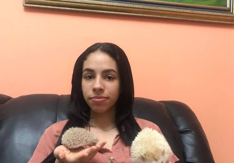 ¡Mascotas exóticas!