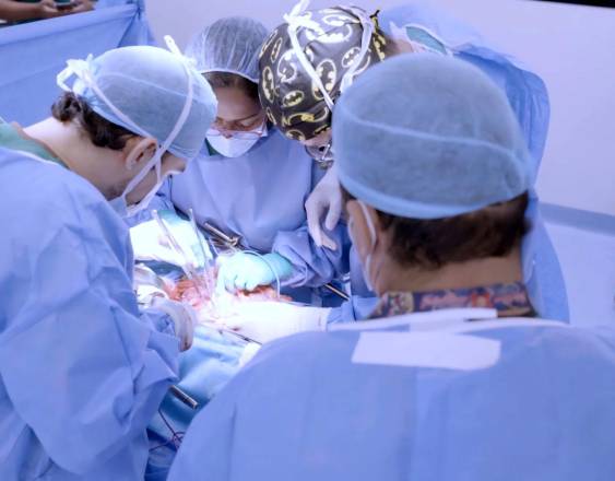 ML | Personal de la CSS durante un trasplante.