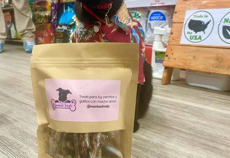 Gastronomía para mascotas se alza en Panamá