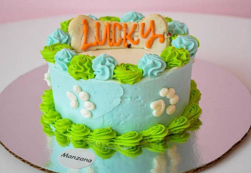 Gastronomía para mascotas se alza en Panamá