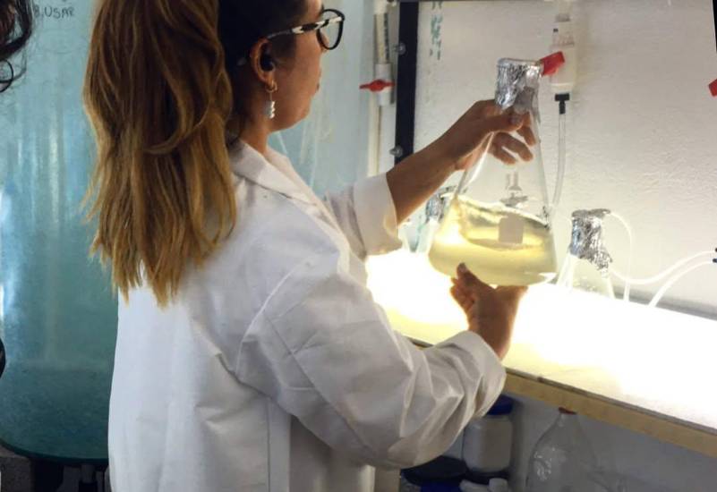 Científica panameña que traduce la voz del océano