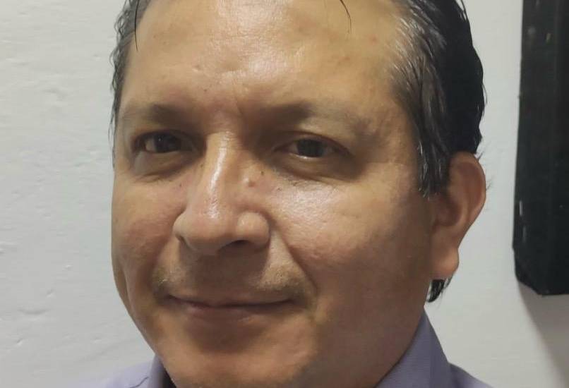 Abejas: útiles pero peligrosas