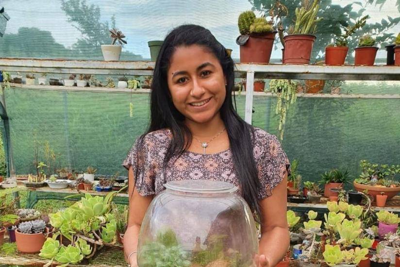 ¡Mini jardines para el hogar y la oficina!