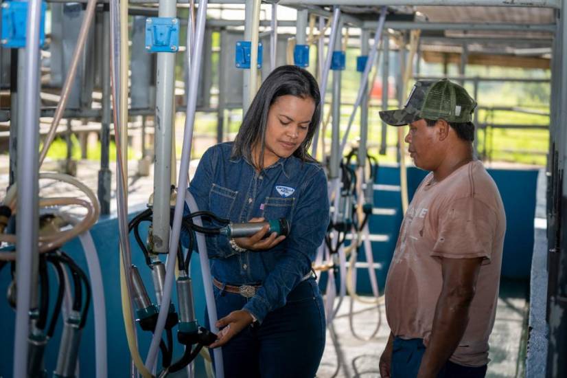 Estrella Azul anuncia que no recibirá leche de productores porque su centro de acopio está a máxima capacidad