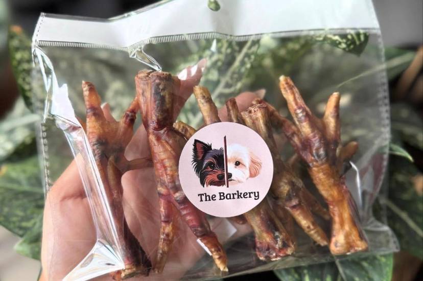 “The Barkery PTY”, emprendimiento que ofrece snacks deshidratados para mascotas