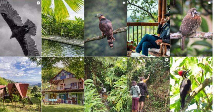 Ecoturismo con identidad cafetera: la apuesta de la Reserva Natural Monte Jazmín en Colombia