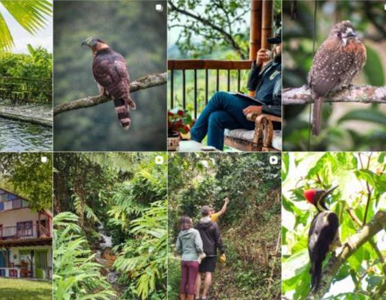 Ecoturismo con identidad cafetera: la apuesta de la Reserva Natural Monte Jazmín en Colombia