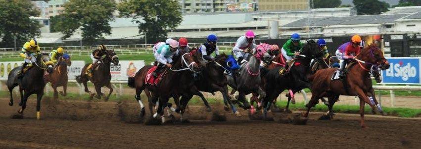 Las potrancas van por su primera victoria este sábado