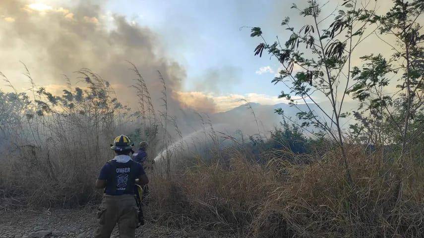 Coclé y Panamá Oeste, las provincias con más incendios forestales