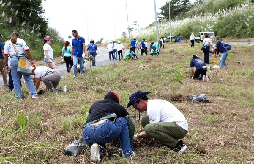 Alcaldía de Panamá y voluntarios plantan 1,000 árboles en la Ciudad de la Salud