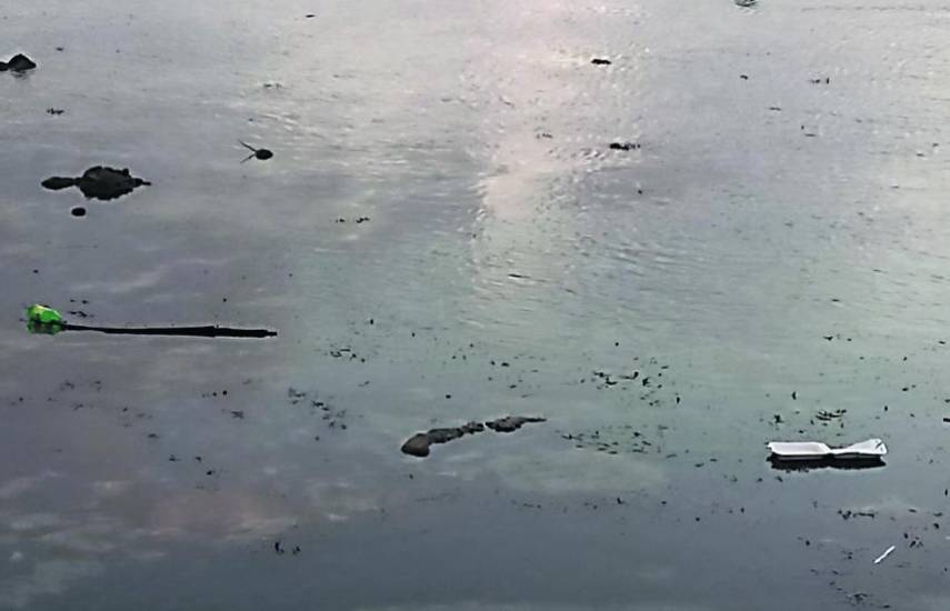 Duty Free del 8 de agosto de 2023