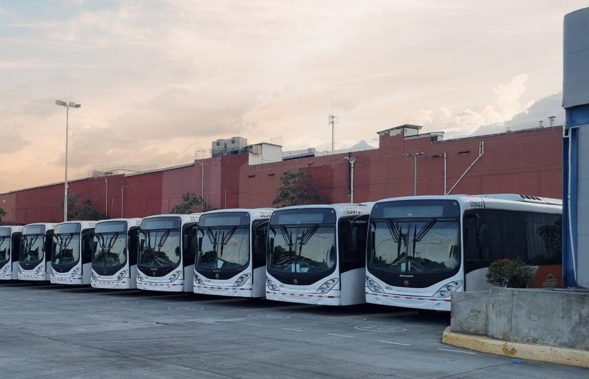 ML | Autobuses de MiBus.