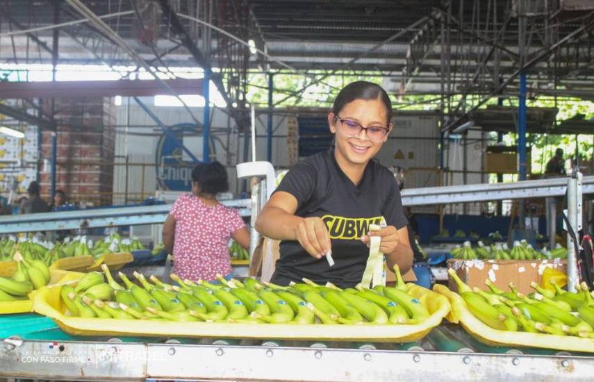 Trabajadores bananeros de Bocas del Toro reciben bonos para la compra de alimentos