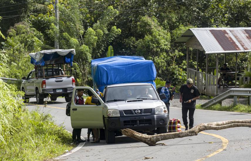 Cultura de diálogo vs Cultura de la violencia y la confrontación