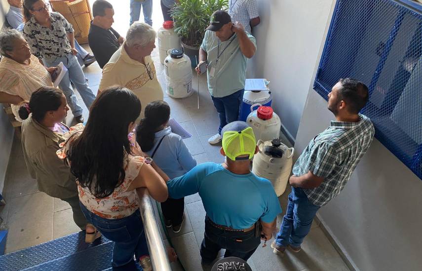 MIDA fortalece la inseminación artificial en Chiriquí con jornada dirigida a pequeños ganaderos
