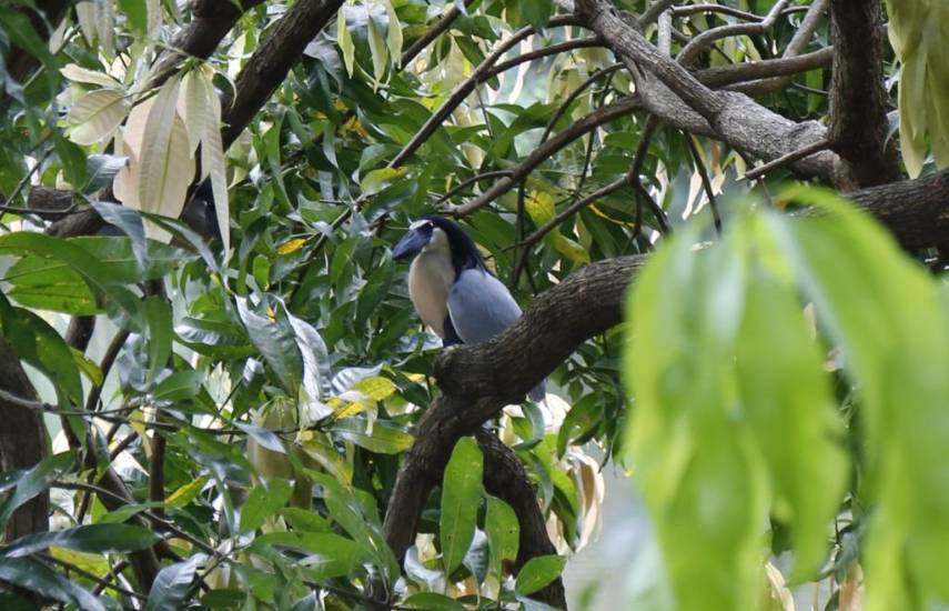 Rescate del Lago de Los Andes: Una apuestan por su restauración y el turismo de biodiversidad