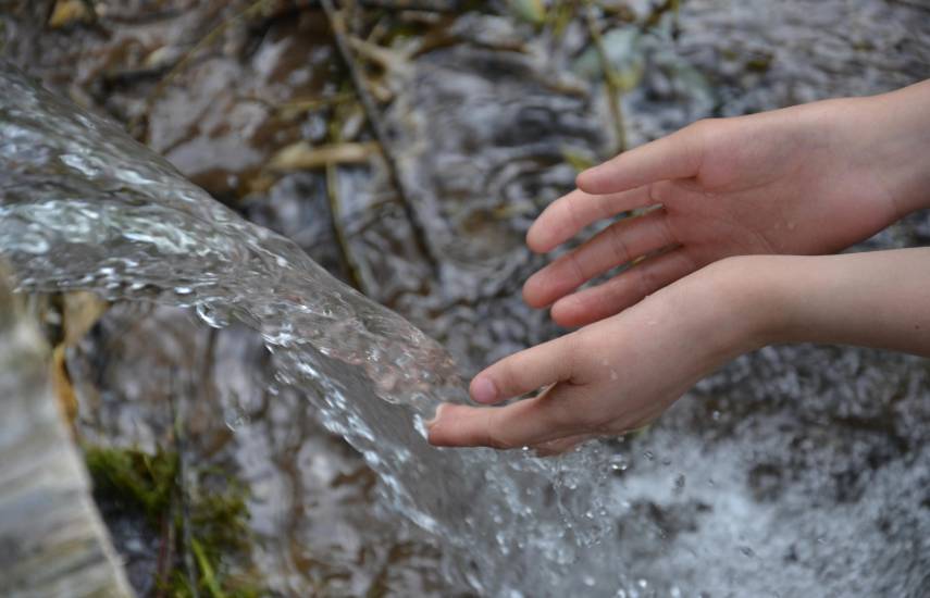 PEXELS | Una persona lavando sus manos en agua.