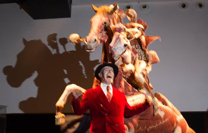 Muere Gunther von Hagens, el polémico anatomista alemán que exhibía cadáveres