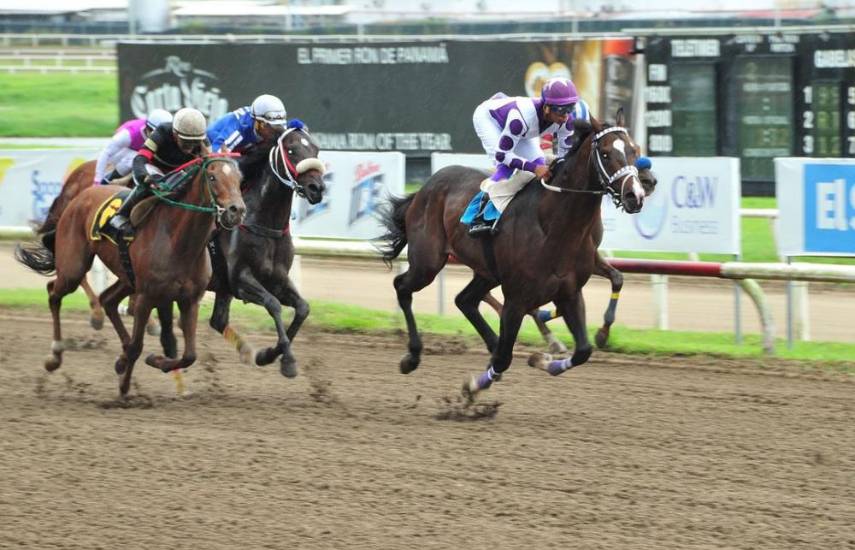 Elevar la hípica como deporte nacional