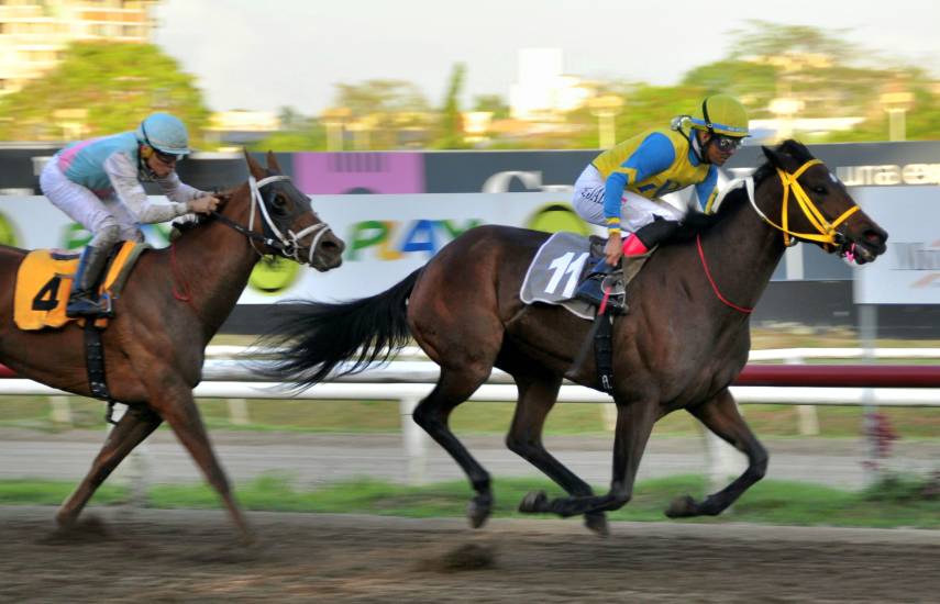 Ganó Solita: Sorpresa en el Unión de Preparadores
