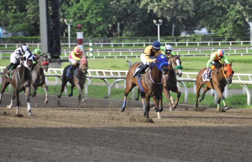 Más de $11 mil en juego en el 5 y 6