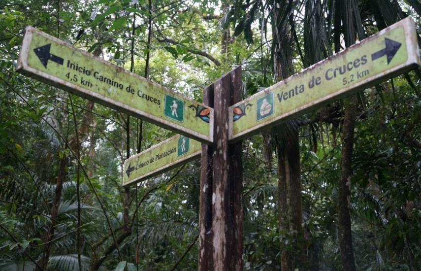Venta de Cruces, un rescate para la historia