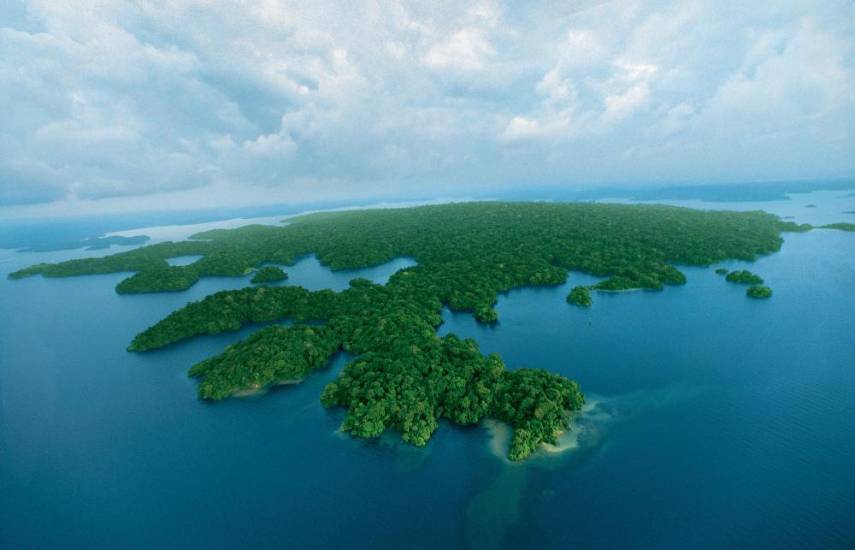 El tesoro de Barro Colorado