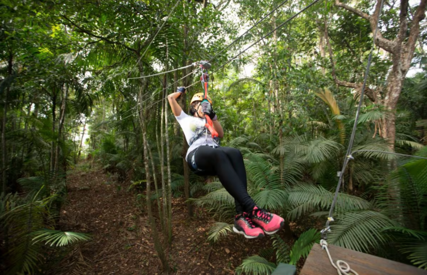 Recorridos en canopy para los amantes de la aventura