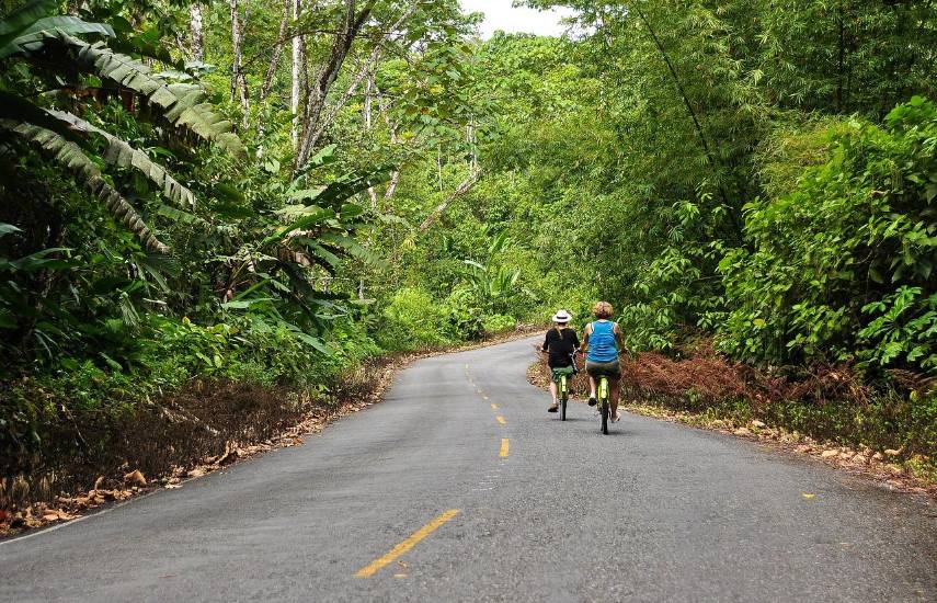 La APATEL pide reforzar la seguridad para evitar impacto en el turismo